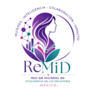 remidmx.com