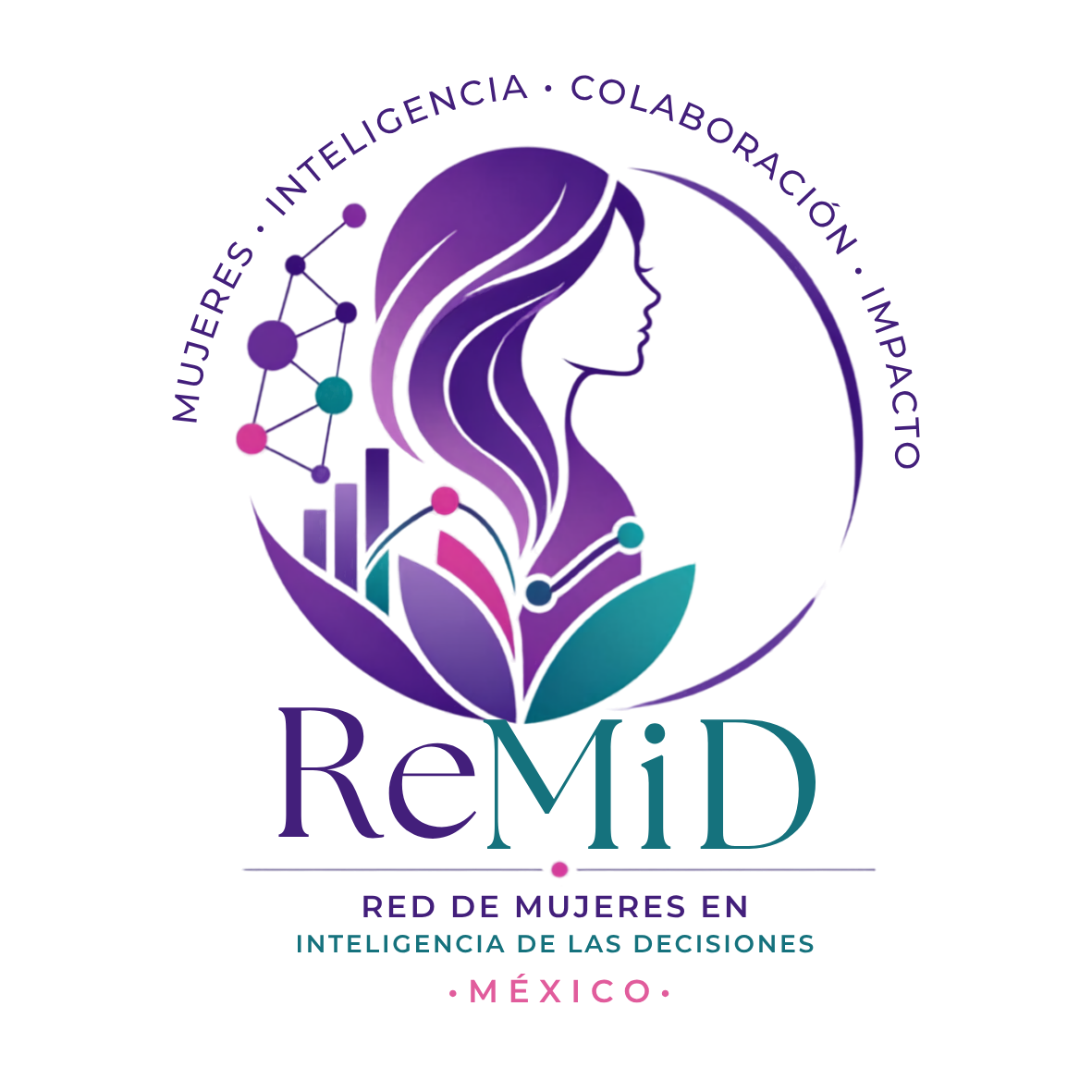 remidmx.com